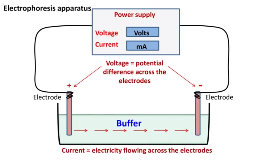 What is Electrophoretic Deposition(EPD)?